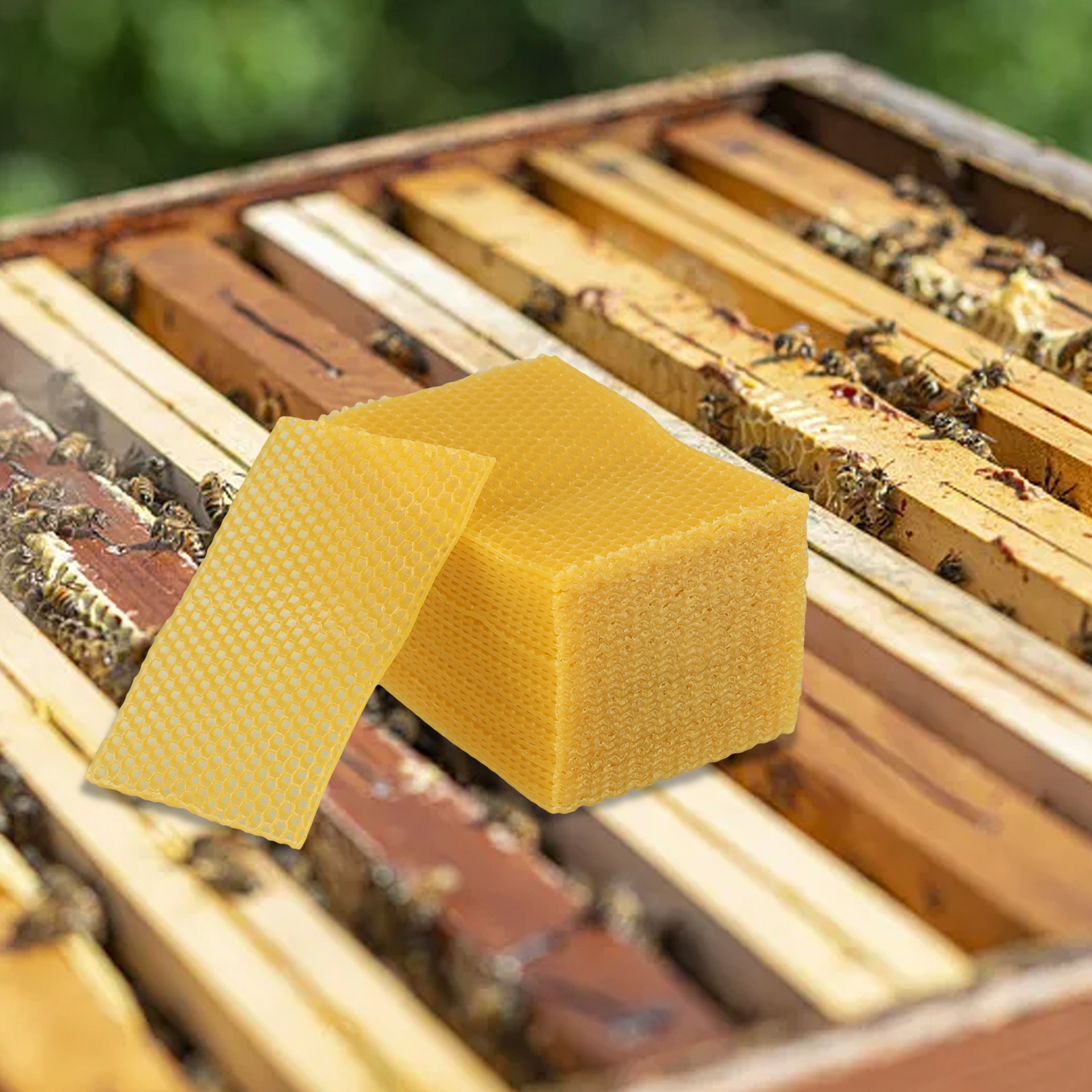 5.24 X 3.54 Bijenwasplaten voo - Beeswax Sheet Roll recensie en prijs